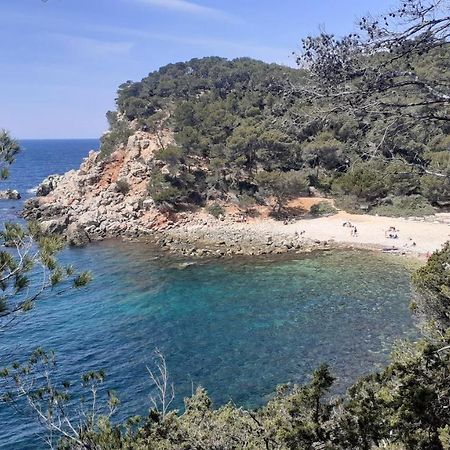 Bandol Maison De Campagne Exteriör bild